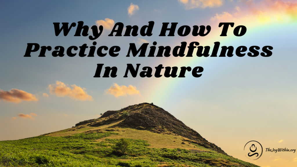5 Exercises to Practice Mindfulness in Nature - The Joy Within