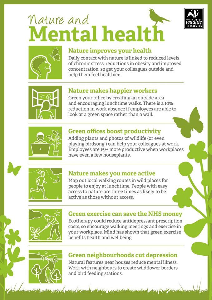 What is nature therapy? 10 examples of nature therapy approaches ...