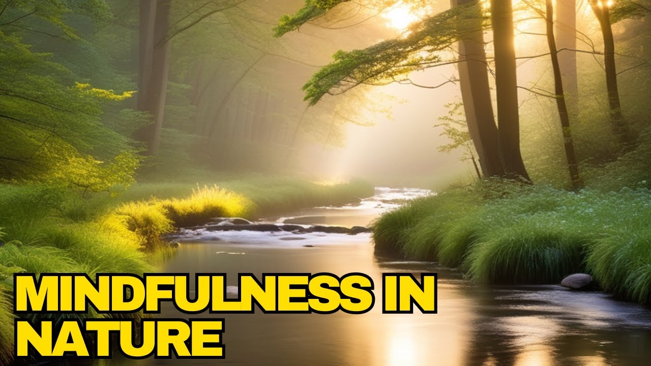 Mindfulness in nature | Mindful Nature Walks | How to practice ...