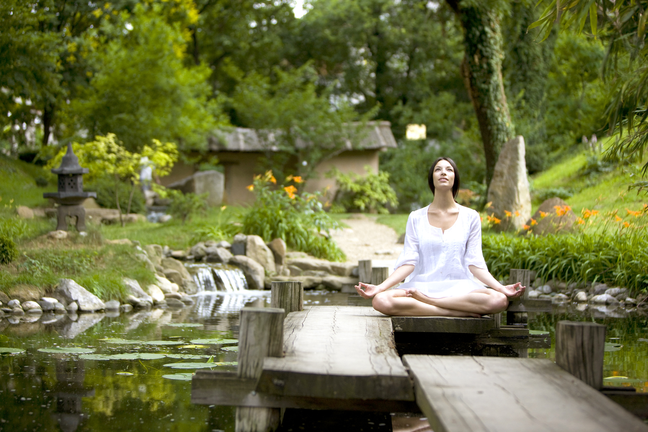 How to Turn Your Garden House into a Relaxing Wellness Oasis ...