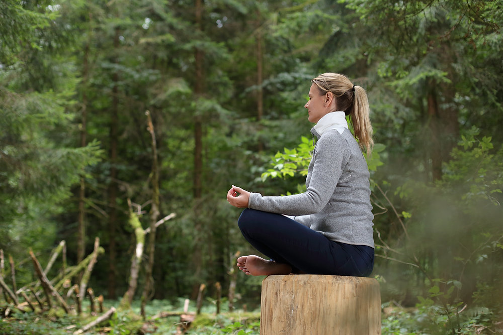 Forest Therapy: Tips and Guidelines