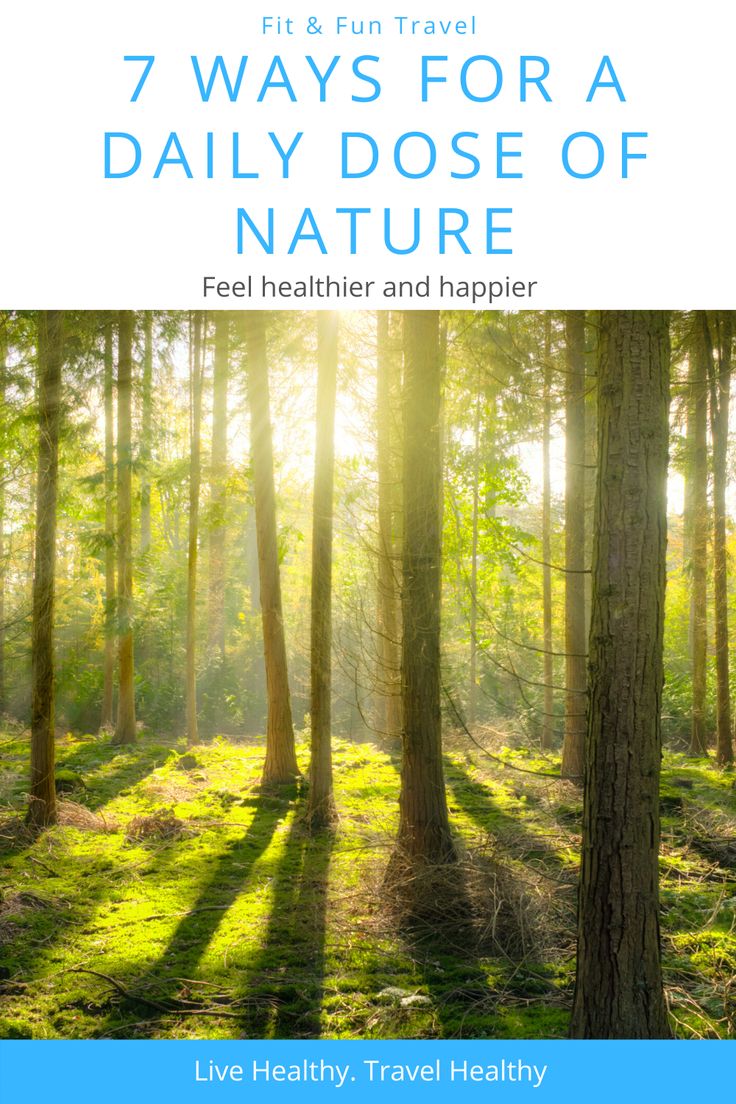7 Ways to add a daily dose of nature to your life, courtesy of the ...