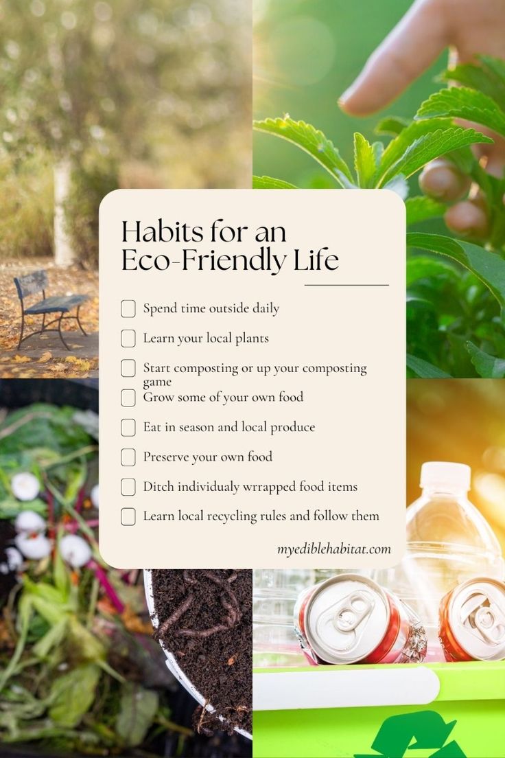 12 Simple Habits for a Healthier, Eco-Friendly Lifestyle in 2025 ...