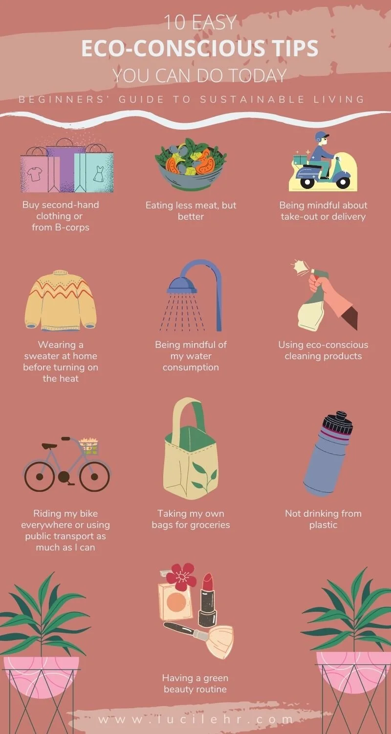 Eco Friendly Examples