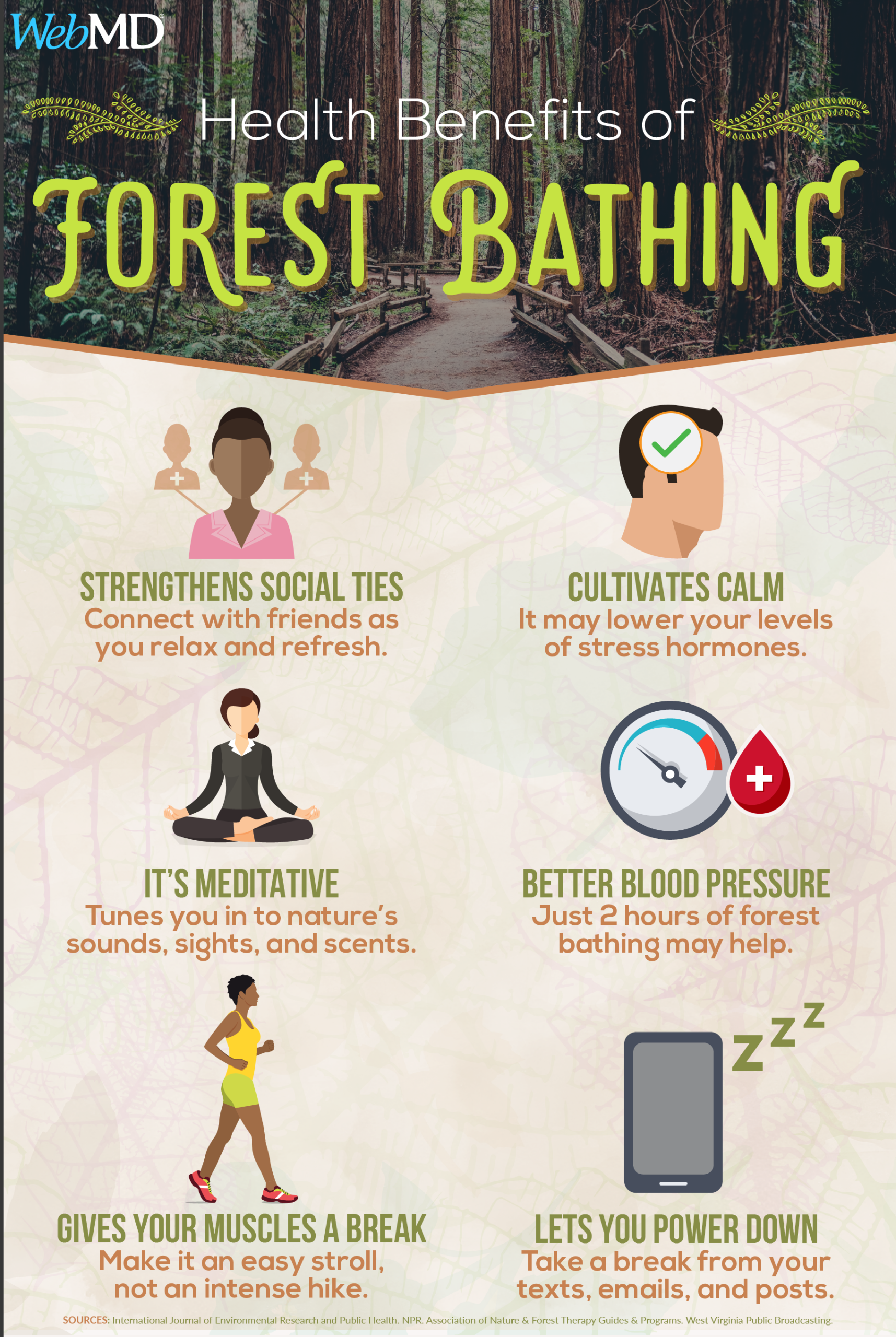 Forest Bathing For Mental Health at Arthur Dwyer blog