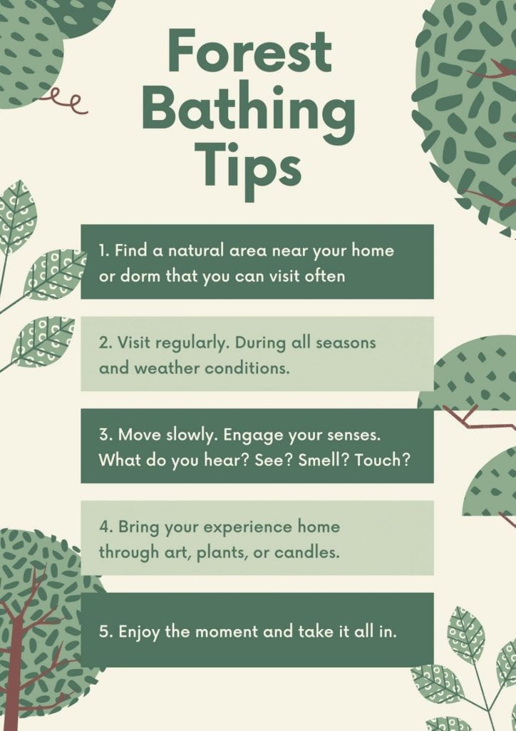 Forest Bathing – Mindful Making Self-Care Toolkit