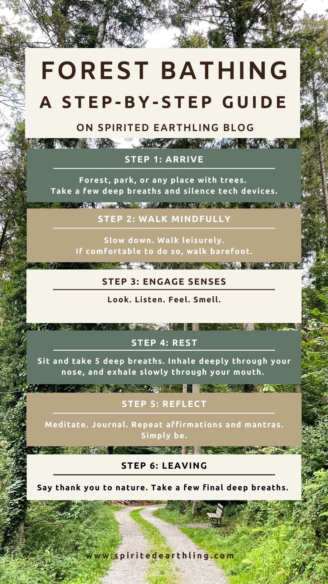 How to practice forest bathing and benefits – Artofit