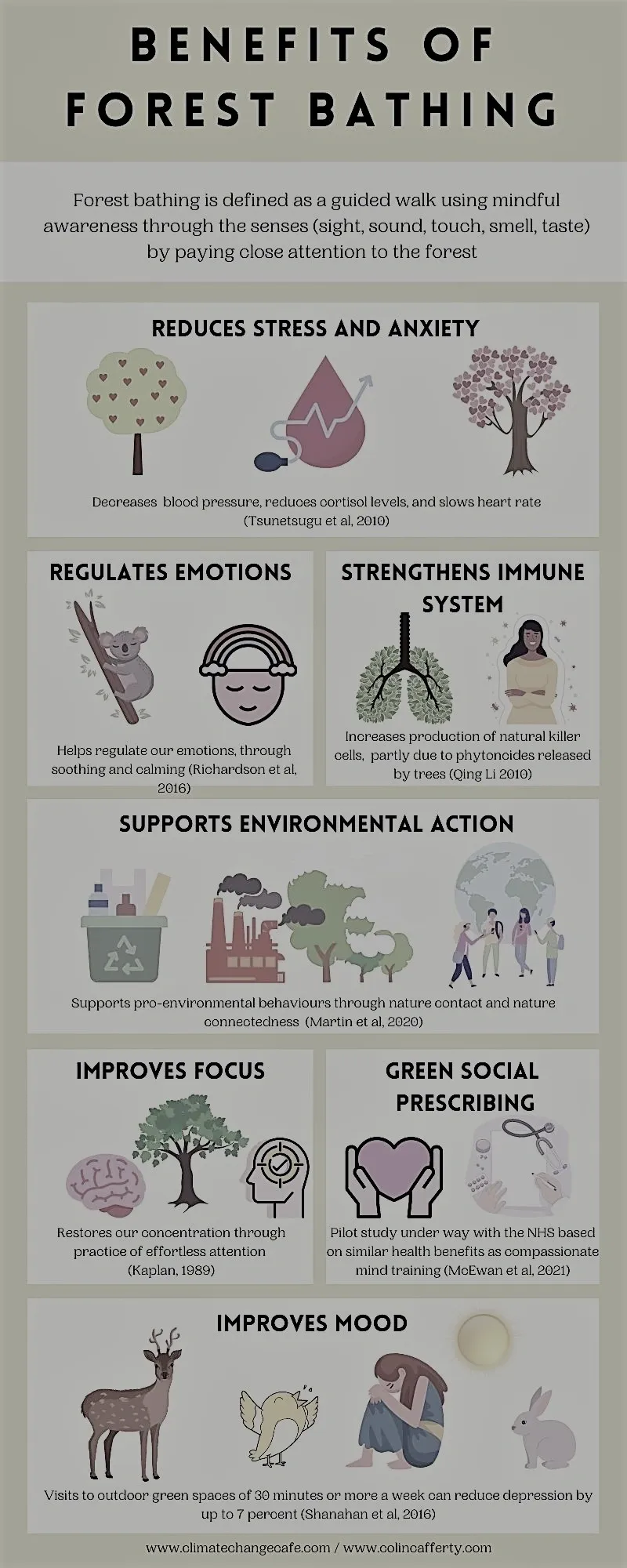 Benefits of Forest Bathing (Shinrin-Yoku) - samim